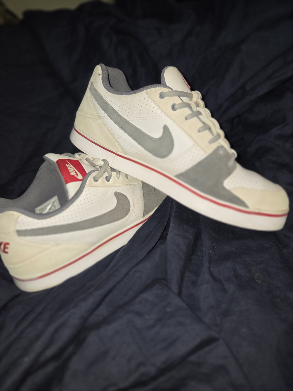 Vintage '05 Nike Dunk Low Premium SB ‘La Familia’ White Grey Red 395776-100 M-12